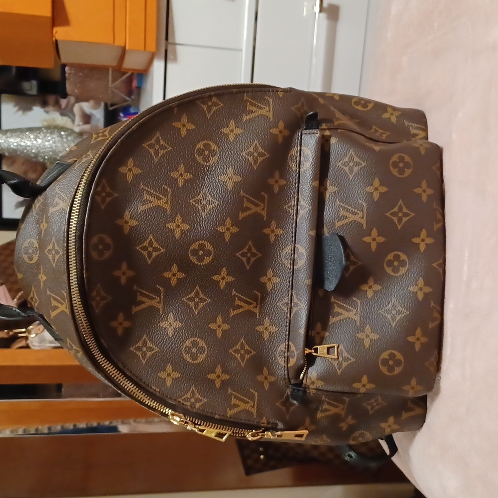 Louis Vuitton backback